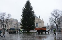 Фото 1: Головну ялинку міста демонтовують та відправлять на утилізацію
