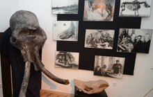Фото 6: Львівський природознавчий музей відкрився