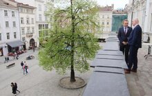 Фото 8: Львів поглиблюватиме співпрацю з Чеською Республікою