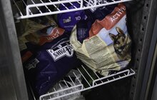 Фото 10: На початку травня у Львові відкриють Центр адопції безпритульних тварин