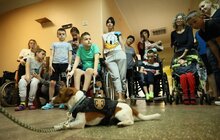 Фото 2: Найпопулярніший пес України відвідав юних пацієнтів у лікарні Св. Миколая у Львові