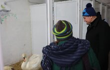Фото 22: У мерії розглядають можливості комплексного розвитку парку «Знесіння» і Домівки врятованих тварин
