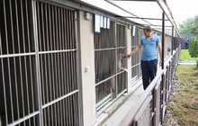 Фото 6: У Львові відомі спортсмени допомагали безпритульним тваринам