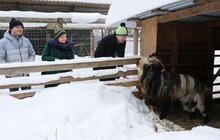 Фото 28: У мерії розглядають можливості комплексного розвитку парку «Знесіння» і Домівки врятованих тварин