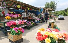Фото 15: Реконструкція вул. Миколайчука: до кінця серпня облаштують нову дорогу