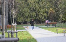 Фото 4: На вул. Кульчицької, 18 залишиться сквер: рішення суду
