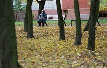 Фото 38: У Львові комплексно ремонтують парки: роботи тривають на низці об'єктів