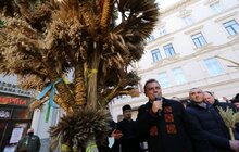 Фото 19: Напередодні Різдва у Львові встановили Різдвяного Дідуха