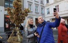 Фото 34: Напередодні Різдва у Львові встановили Різдвяного Дідуха