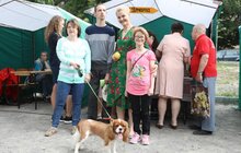 Фото 9: У центрі Львова організували фестиваль «Ковчег дружби»