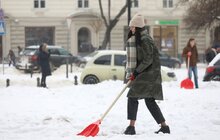 Фото 15: Працівники Львівської мерії долучились до прибирання міста від снігу