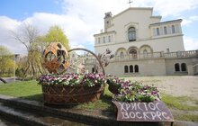 Фото 23: У Львові висаджують квіткові композиції