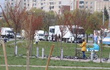 Фото 1: У Львові висадили 20 сакур, які місту подарувало Посольство Японії