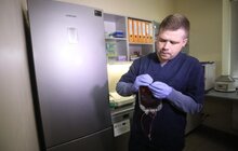 Фото 14: Розпочав роботу перший у Західній Україні банк крові для тварин: унікальний проект ЛКП «Лев» та партнерів