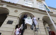 Фото 12: Медичні працівники одягнули левів перед мерією Львова у вишиванки