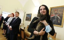 Фото 2: Міський голова відзначив фармацевтів з нагоди професійного свята