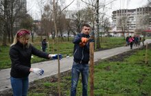 Фото 2: У Львові триває загальноміське прибирання міста в рамках акції «З нами місто розквітає»