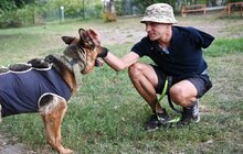 Фото 3: Ветеран без руки щодня вигулює 60 собак з ЛКП «Лев» (відео)