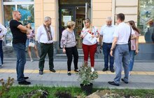 Фото 2: На вул. Бандери до Дня Незалежності висадили дерева