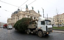 Фото 13: У центрі Львова встановили головну ялинку міста (відео)