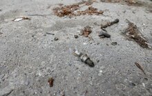 Фото 30: Найближчим часом із вулиць Львова заберуть ще 20 занедбаних авто