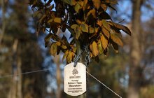 Фото 3: У Левандівському парку висадили 30 дерев пам’яті захисників (відео)