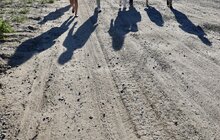 Фото 8: На вул. Конюшинній стартували ремонтні роботи: на 4 тижні частину вулиці закрили для проїзду