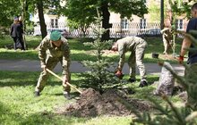 Фото 7: У Стрийському парку висадили 35 дерев у пам’ять про прикордонників, які віддали своє життя боротьбі за незалежність України