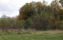 Фото 12: Територія геріатричного пансіонату у Львові зацікавила забудовників: місто готує документи до суду (відео)