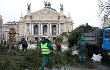 Фото 13: Головну ялинку Львова відвезли на компостування (відео)