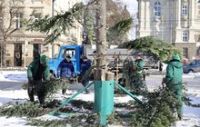 Фото 8: Головну ялинку міста розібрали (відео)