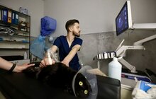 Фото 14: ЛКП «Лев» стає міським центром із комплексної допомоги для безпритульних та домашніх тварин (фото/​відео)
