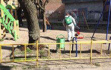 Фото 81: Комунальні служби дезінфікують місто: миють вулиці, тротуари, зупинки транспорту, сходові клітки будинків