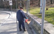 Фото 93: Комунальні служби дезінфікують місто: миють вулиці, тротуари, зупинки транспорту, сходові клітки будинків