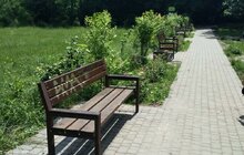 Фото 3: Інститут просвіти дослідив найцікавіші туристичні зупинки парку «Знесіння»