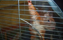 Фото 9: В рамках благодійної акції діти побували в еколого-натуралістичному центрі