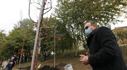 У Львові висадили 96 іменних дерев, присвячених загиблим Героям