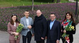 200 тисяч тюльпанів Нідерланди вже подарували Львову: чи побільшає їх у місті наступного року?