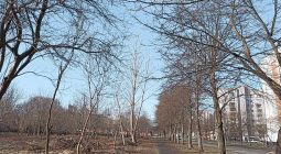 У Шевченківському районі Львова буде новий парк з озером
