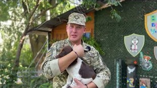 Львівський еколого-натуралістичний центр передав 6 собак для прикордонників