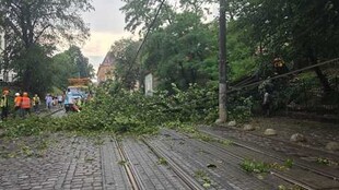 Комунальні служби вже ліквідовують наслідки негоди