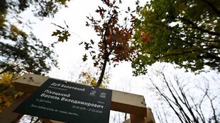 У Львові стартувала осіння акція «Подаруй місту дерево»: дуб висадили на честь полеглого захисника
