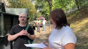На вул. Шота Руставелі відбулося виїзне засідання щодо зрізання двох аварійних дерев – клена і липи