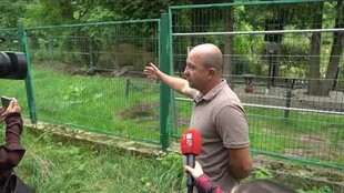 На старому Голосківському цвинтарі розпочали ексгумацію останків солдатів Війська Польського