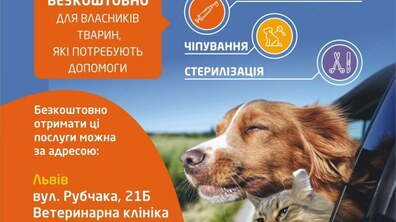Фото: У Львові безкоштовно вакцинуватимуть та стерелізуватимуть тварин вимушено переміщених осіб