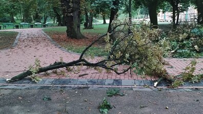 Фото: Наслідки вчорашньої негоди: гроза не завдала значних збитків