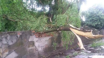 Фото: Наслідки негоди комунальні служби ліквідовують сьогодні, працюватимуть й завтра