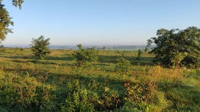 Фото: У Львівській громаді з аукціону продали 8 земельних ділянок