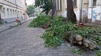 Фото: В мерії Львова розповіли про наслідки вчорашньої негоди