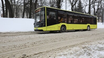фото умовне, автор: Роман Балук